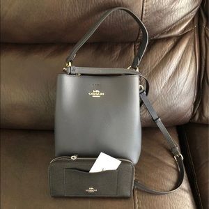 Coach small town bag